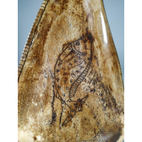 Medicijncontainer gemaakt van schouderblad van een paard